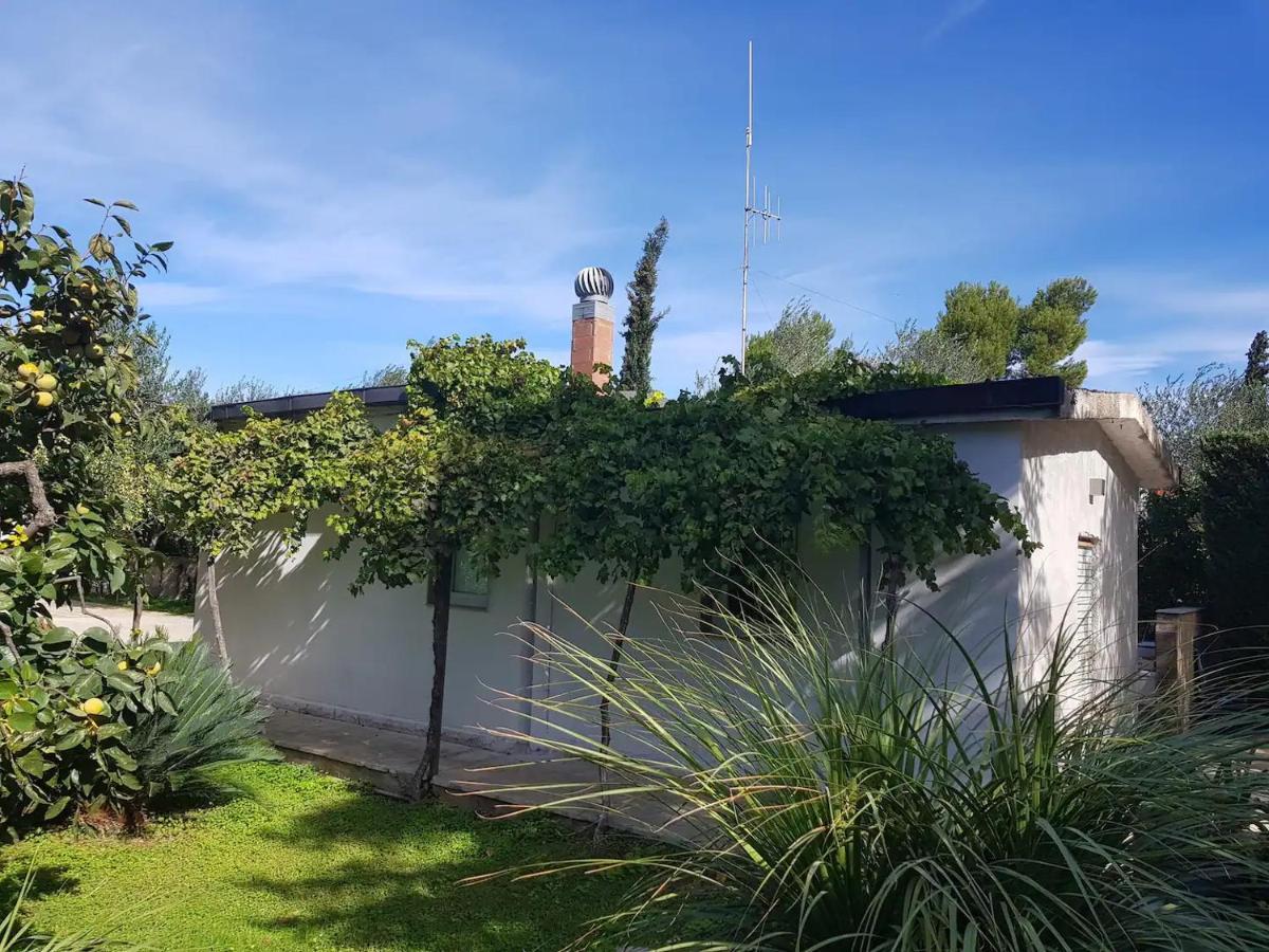 Countryhouse Gli Ulivi Modugno Ngoại thất bức ảnh