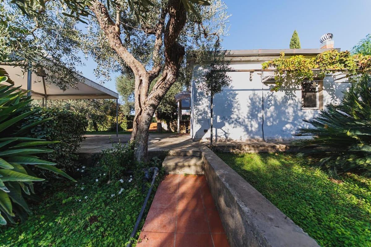Countryhouse Gli Ulivi Modugno Ngoại thất bức ảnh
